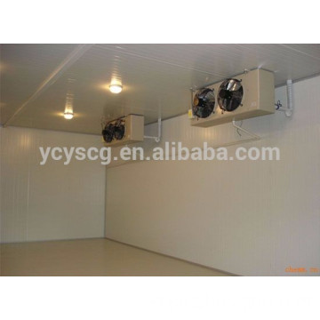 Industrial cold storage room for meat and freezer room for fruit